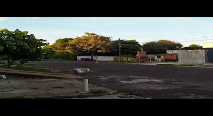 Conforme moradores, Pitbull segue atacando pedestres no Bairro Neva