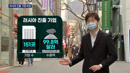 러시아 하늘엔 국내선 1대뿐…러시아 진출 기업 비상