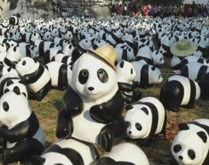Historic Thai city hosts mini-panda exhibition