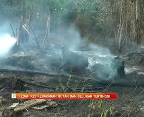 Kedah kes kebakaran hutan dan belukar tertinggi