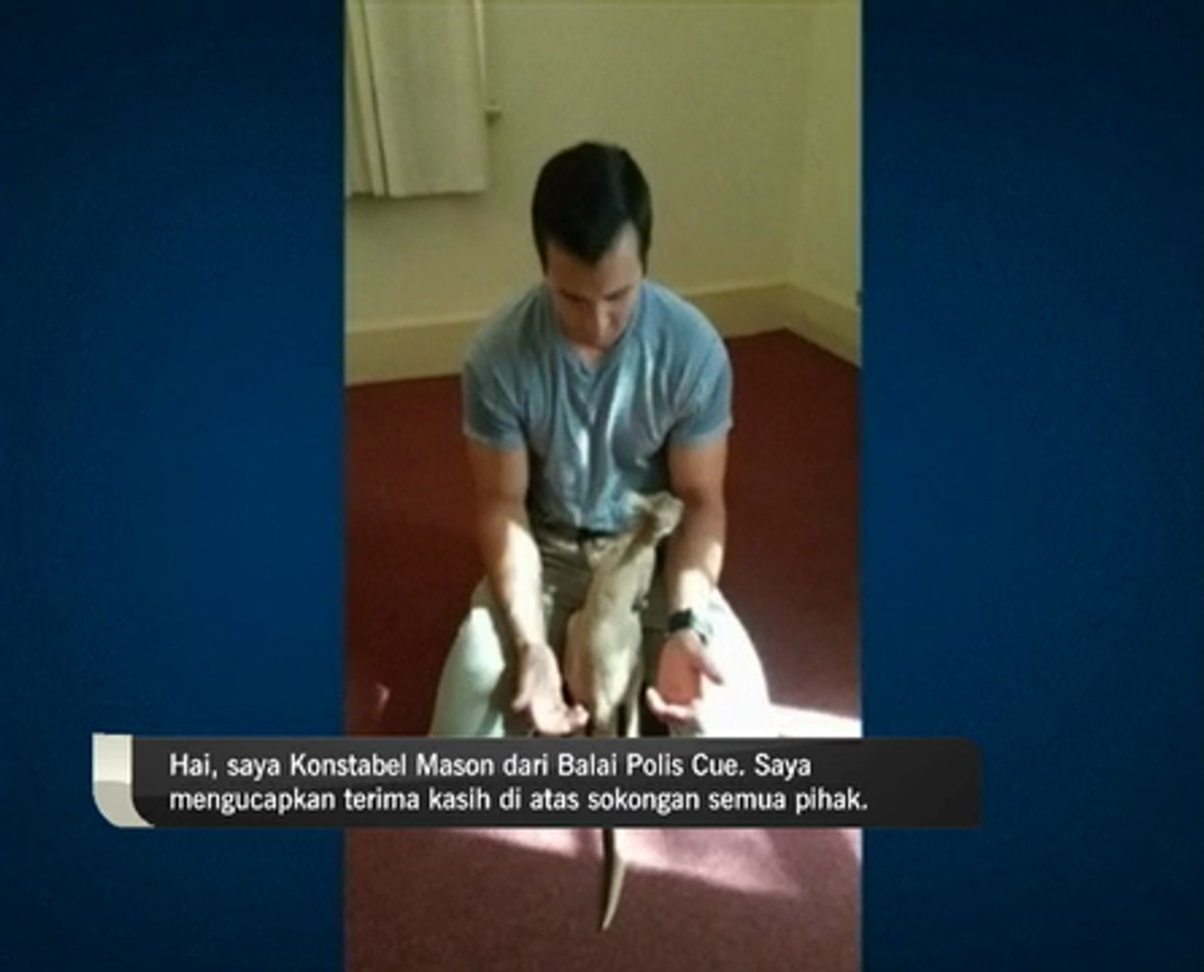 ⁣Nasib anak kangaroo terbela