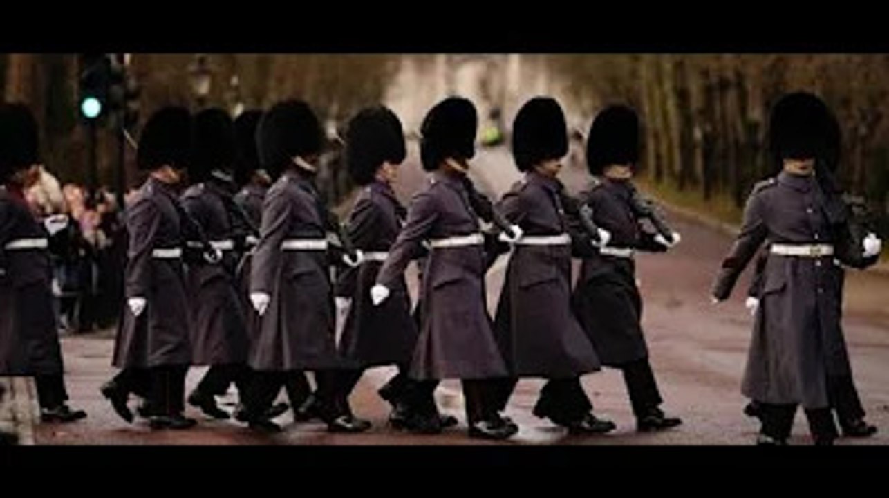 Jusqu'à 140 ours noirs à ab@ttre pour fabriquer des chapeaux de cérémonie pour la garde de la reine