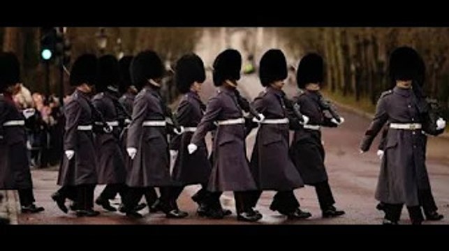 Jusqu'à 140 ours noirs à ab@ttre pour fabriquer des chapeaux de cérémonie pour la garde de la reine