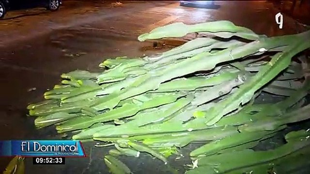 Conductor abandona camioneta tras chocar contra un árbol en SMP