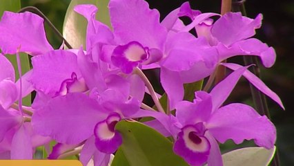 bd-publireportaje-evergreen-070322