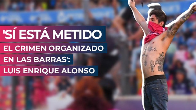 'Sí está metido el crimen organizado en las barras': Luis Enrique Alonso