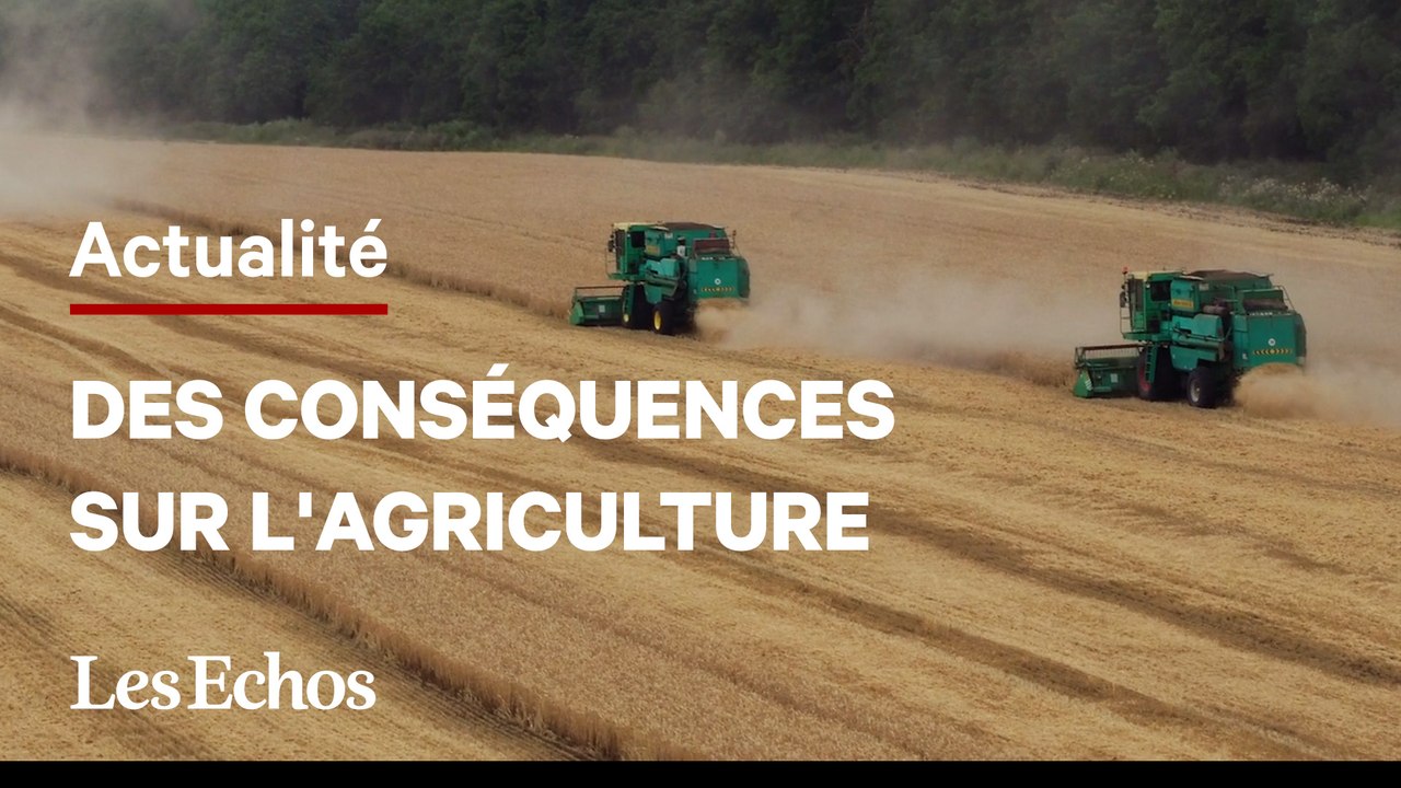 Ukraine : vers une forte hausse des prix alimentaires ?