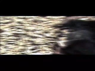 Romanzo criminale Clip (6)