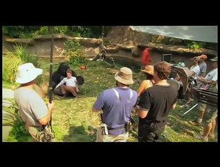 Entrevista 2 - Español