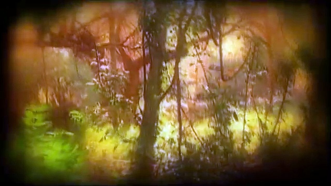 Vivir de pie. Las guerras de Cipriano Mera Tráiler