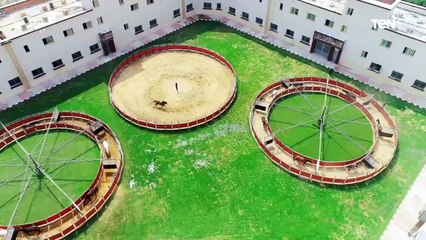 الداخلية تنظم بطولة الجمهورية للفروسية بالتعاون مع الاتحاد المصري