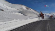 Van-Bahçesaray karayoluna hummalı çalışma... Karayolları ekipleri çığ düştüğü alanlara 10 metreyi bulan kar kütlelerini temizliyor