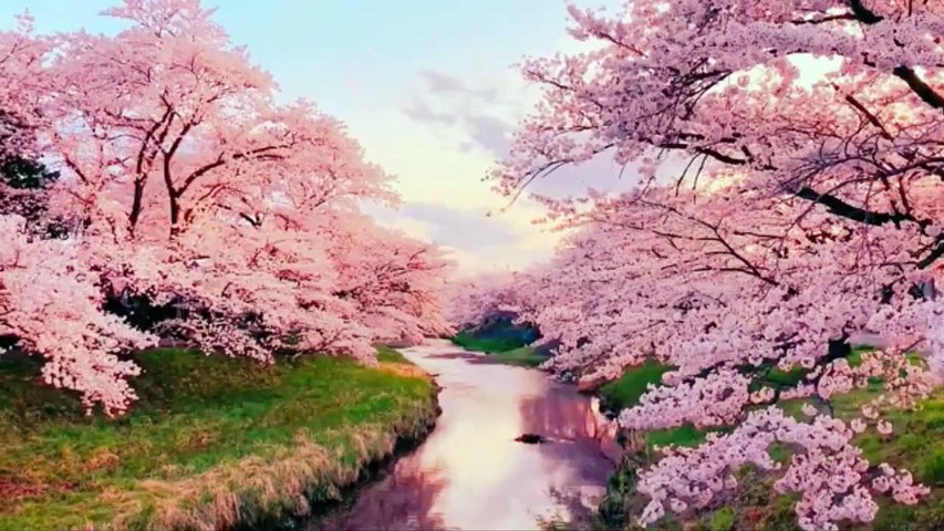Ambient Fantasy Music with Beautiful Nature 4K Quality •