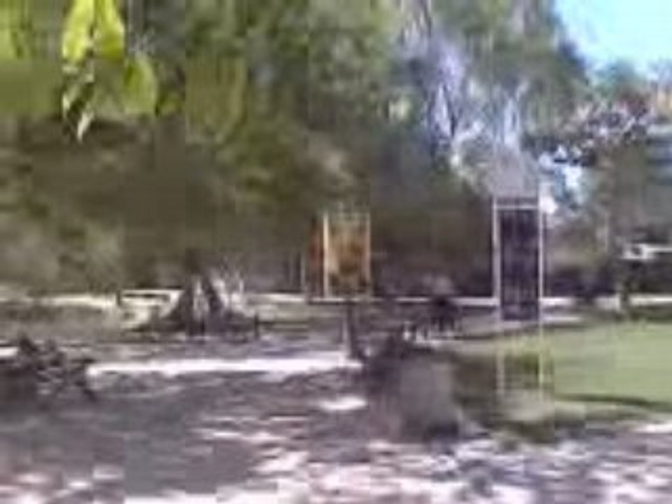 Lago CUC