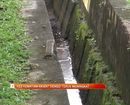 Kes kematian akibat denggi terus meningkat