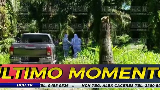 ¡Putrefacto hallan cadáver de una persona en laguna de oxidación de Tocoa!