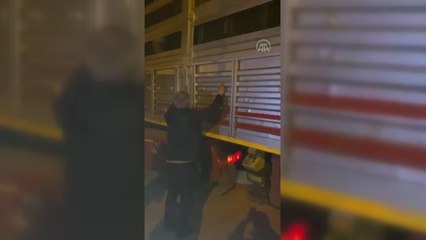 Kamyon kasasında 70 düzensiz göçmen yakalandı