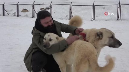 Çocukluk aşkı için Almanya'yı bıraktı Sivas'a yerleşti