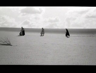 El cant dels ocells Clip (3)