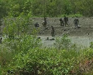 Siasatan punca pesawat CN235 mendarat cemas bermula