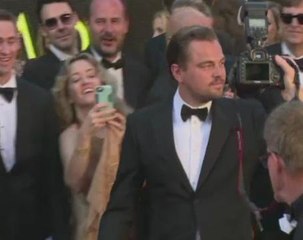 Leonardo DiCaprio and other stars on Oscars red carpet