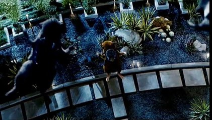 Força G Teaser (2) Original