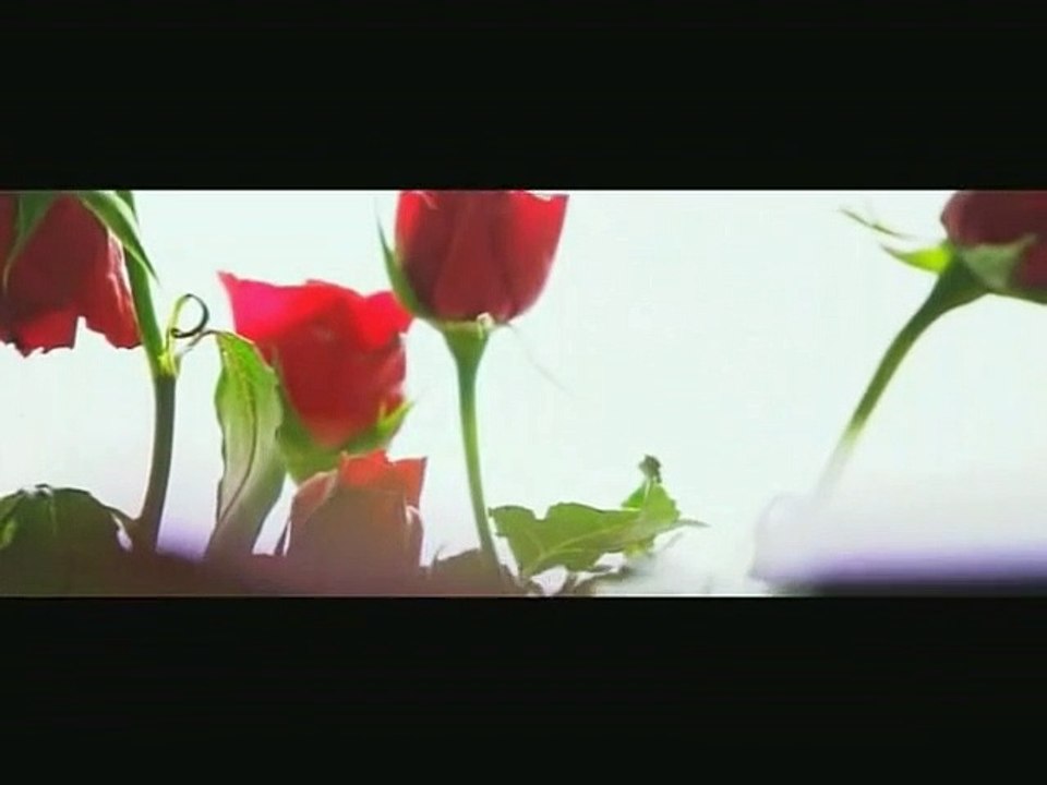 Trailer 1 - English