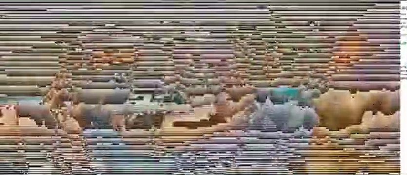 Infectados (Carriers) Tráiler