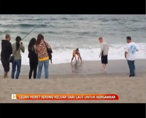 Lelaki heret jerung keluar dari laut untuk bergambar