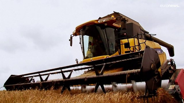 Ucraina, brucia il granaio del mondo: a rischio il pane in medio oriente e non solo