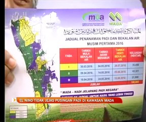 El Nino tidak jejas pusingan padi di kawasan MADA