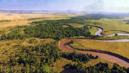 Reino dos Felinos Trailer Original