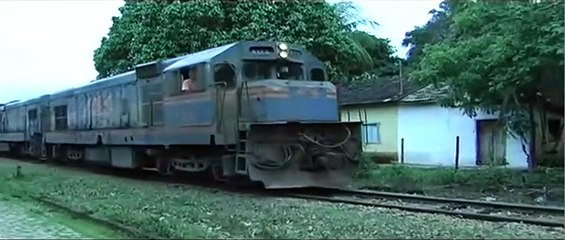 Meu Pé de Laranja Lima Making of Dublado