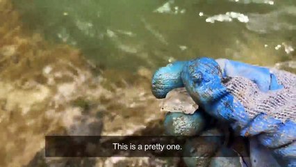 Our Most Insane DIAMOND Finds So Far!