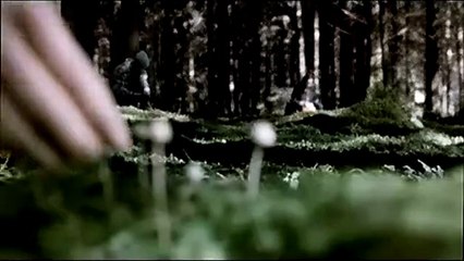 Cabeza de muerte (Fungus Mortalitas) Tráiler