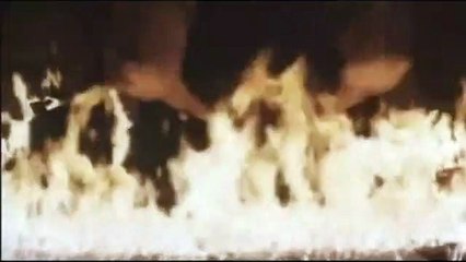 La novena puerta Tráiler