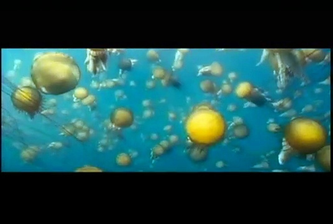 Oceanos Trailer Legendado