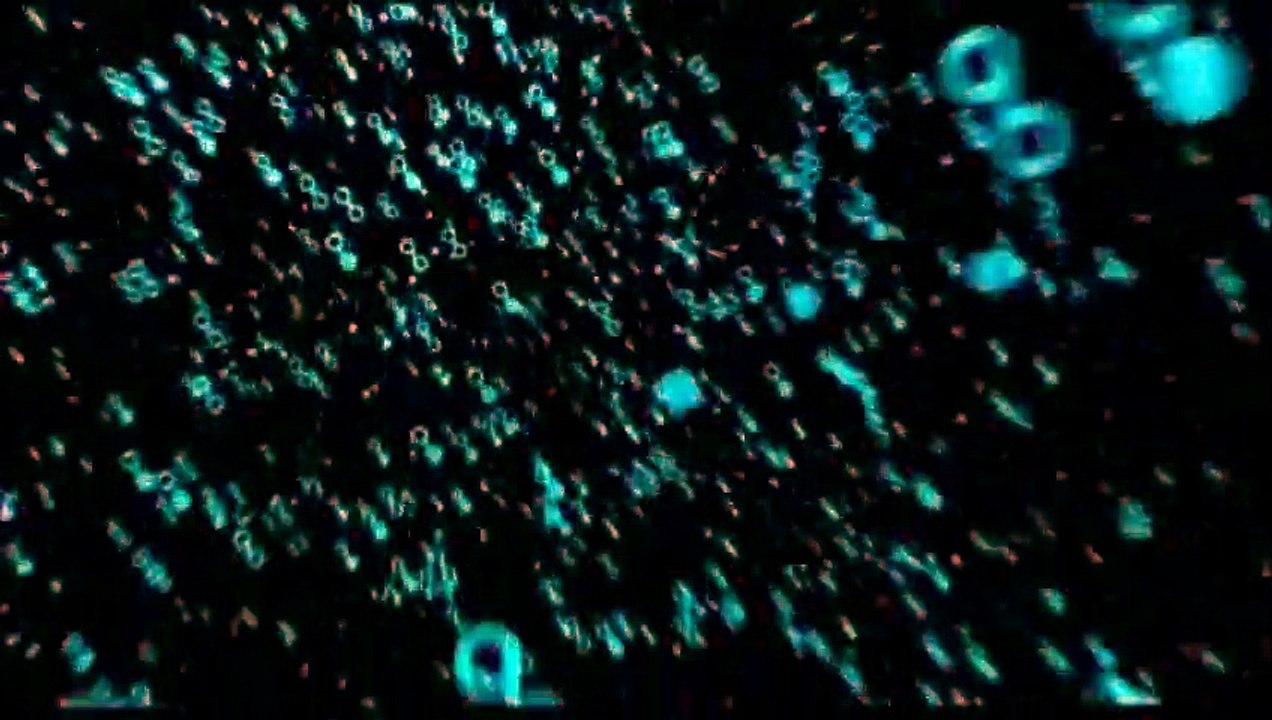 Lo mejor de mí Tráiler