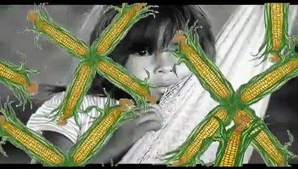 Testemunhos de um Etnocídio: Memórias de Resistência Trailer Original