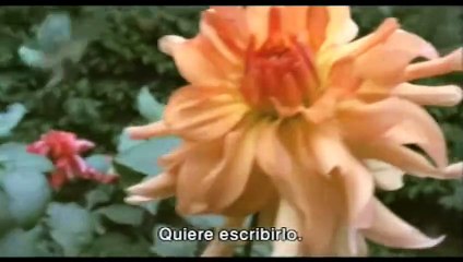 La escafandra y la mariposa Tráiler VO