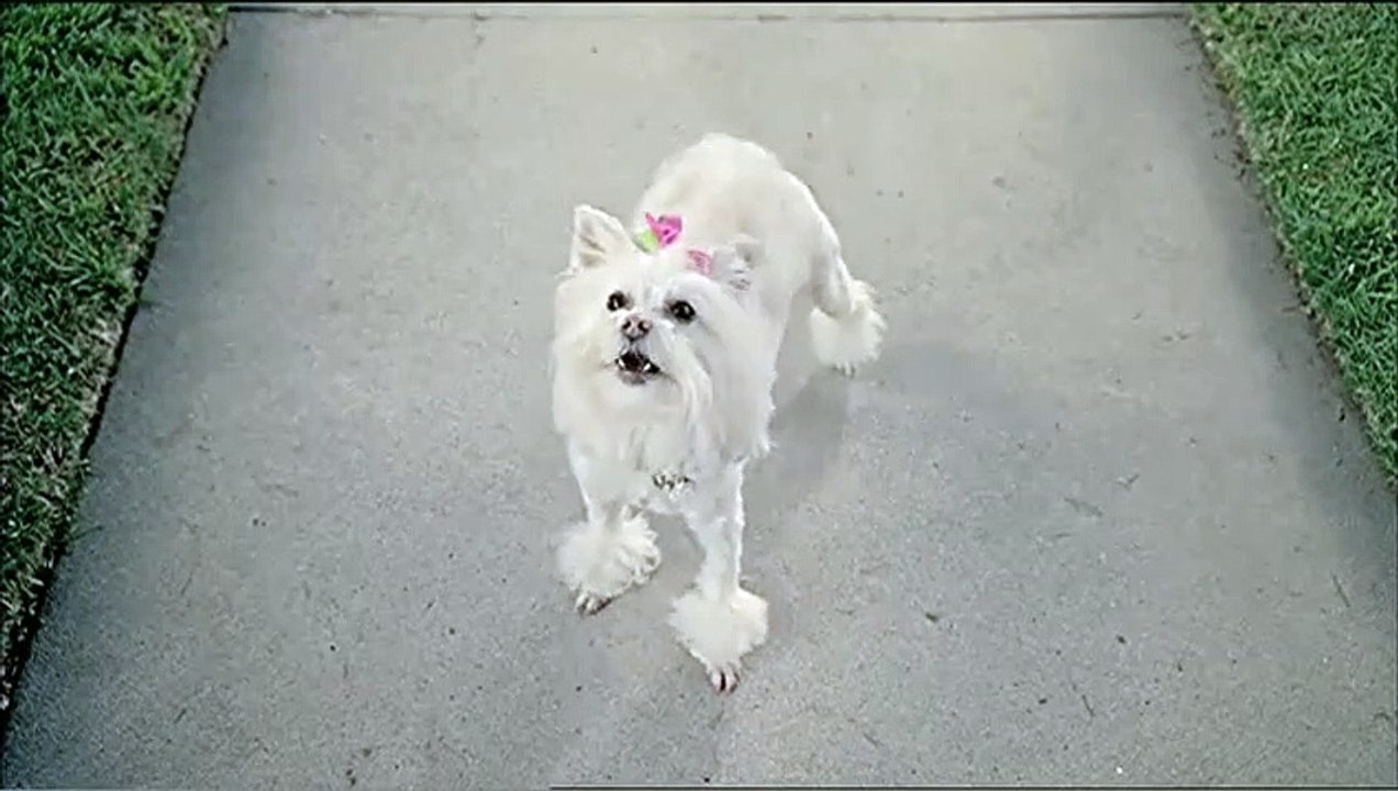 Wilfred Teaser VO