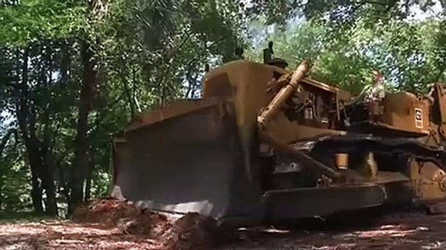 Pequeños salvajes Tráiler VO
