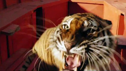 As Aventuras de Pi clip (2) Original