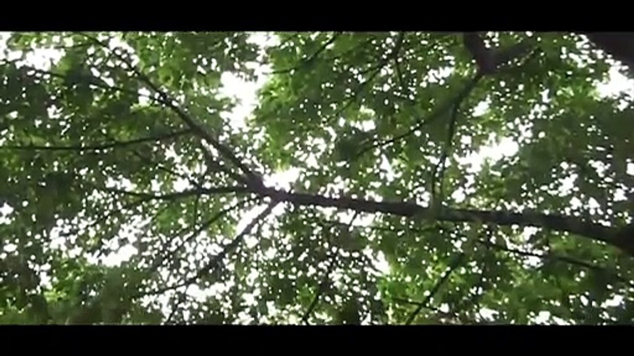 Parque do Povo clip Original