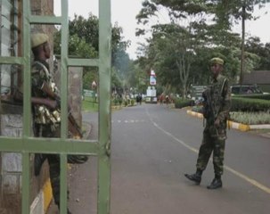 Panic as lions on the loose in Kenyan capital