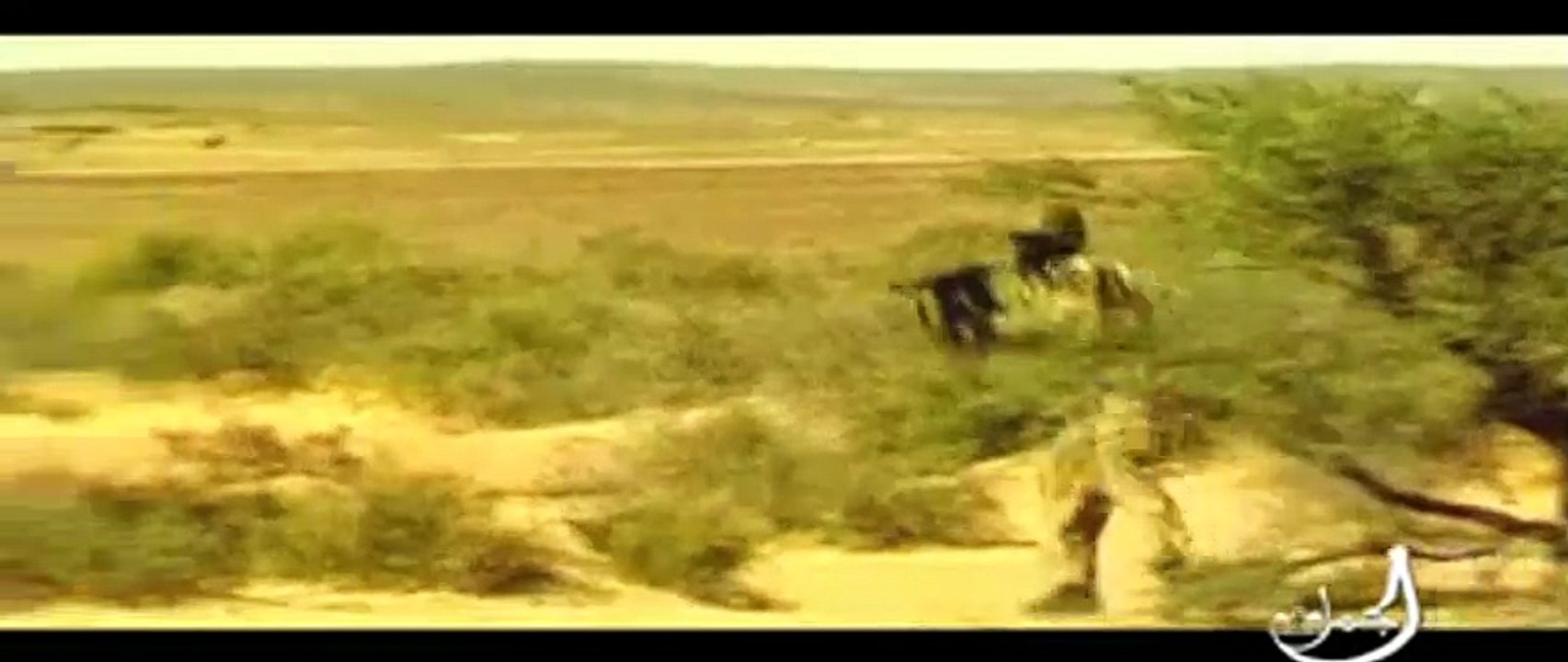 Cuentos de la guerra saharaui Tráiler VO