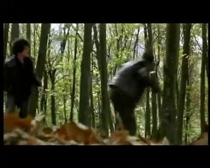 Frío Sol de Invierno Tráiler