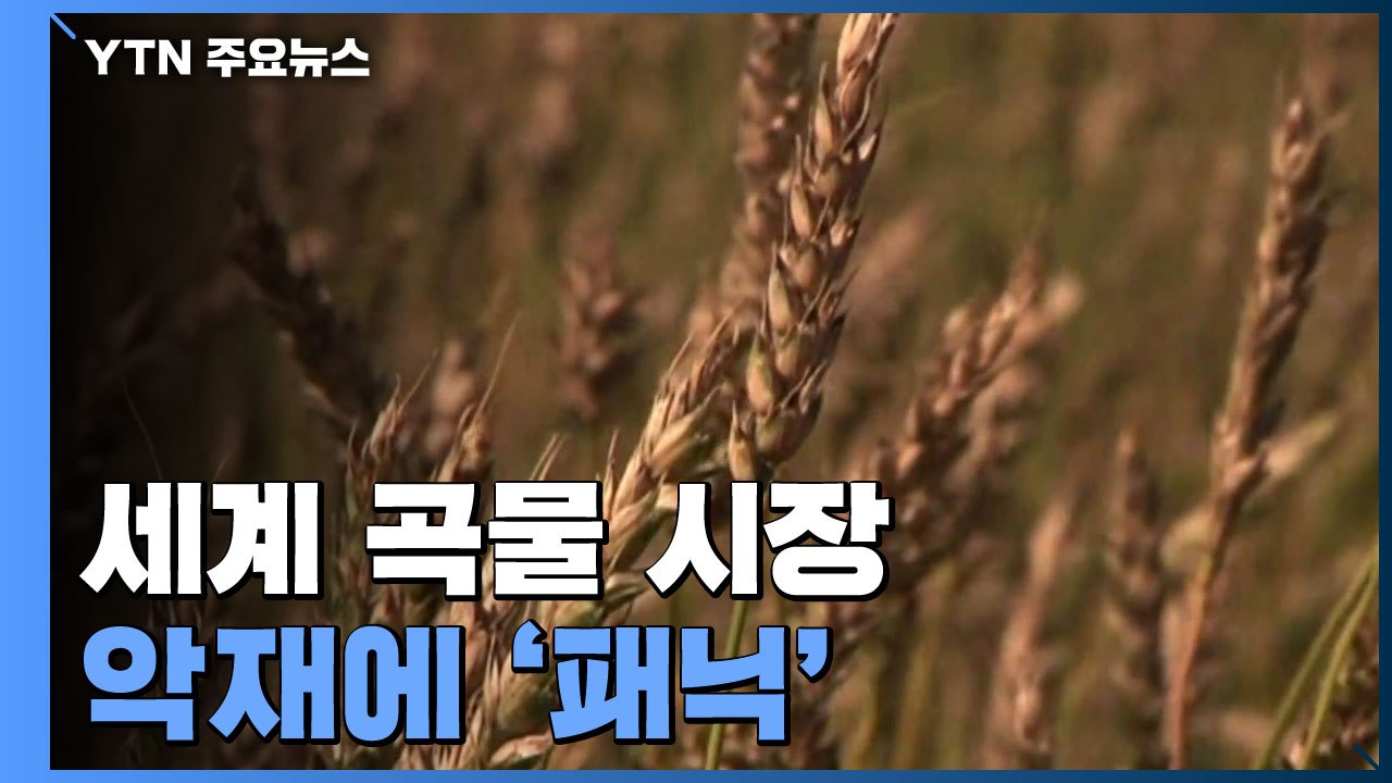 이미 20% 올라있던 곡물시장...전쟁 악재에 '패닉' / YTN