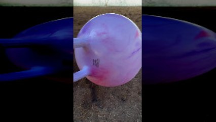 Phoenix the Stallion Plays with Pink Hopper Ball Gift From Fan
