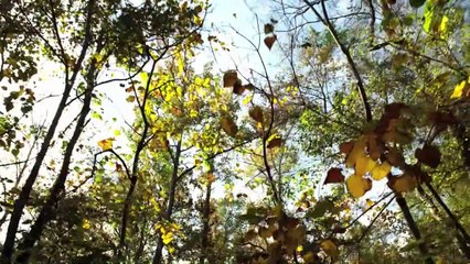 Evocando Espíritos 2 Trailer Original